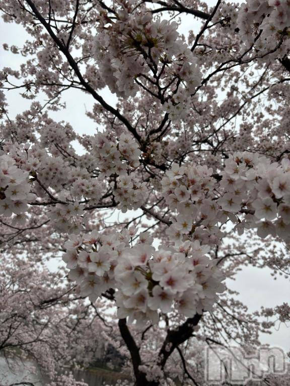 上越デリヘルHONEY(ハニー)みい(36)の2026年4月7日写メブログ「こんばんは🐰」