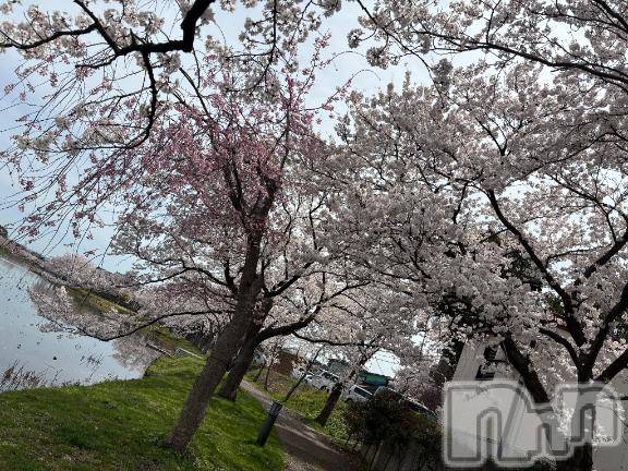 上越デリヘルHONEY(ハニー)みい(36)の2026年4月14日写メブログ「やっと…」