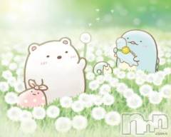 上越デリヘルHONEY(ハニー) みい(36)の10月10日写メブログ「おはようございます☀️」