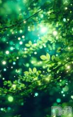 上越デリヘルHONEY(ハニー) みい(36)の2月16日写メブログ「|ｮ'ω'〃)おはようございます♪」