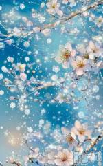 上越デリヘルHONEY(ハニー) みい(36)の2月20日写メブログ「🎀出勤予定🎀」