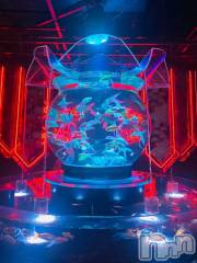 上越デリヘルHONEY(ハニー) みい(36)の8月18日写メブログ「次回出勤予定🙌」