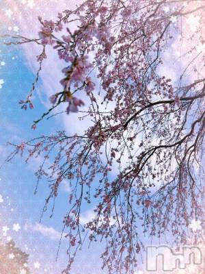 上越デリヘル HONEY(ハニー) みい(35)の4月3日写メブログ「こんばんは🌙*·̩͙」