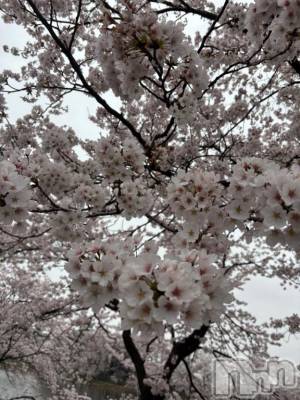 上越デリヘル HONEY(ハニー) みい(36)の4月7日写メブログ「こんばんは🐰」