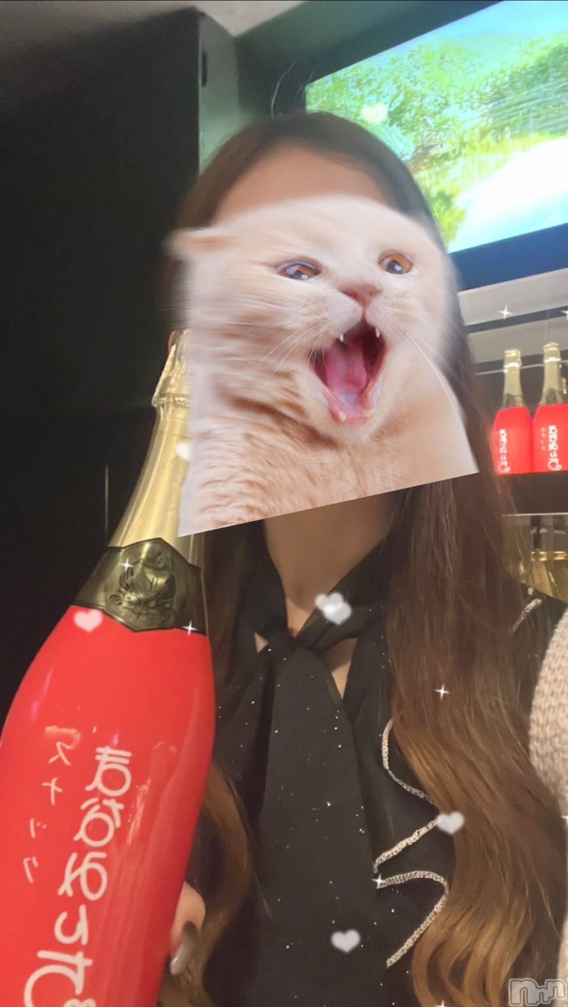 Х顦֥֥֥饦󥸤ޤʤߤ(֥֥饦󥸥ޥʥߥ) 2024ǯ1217ֺ̥֥Ϥä