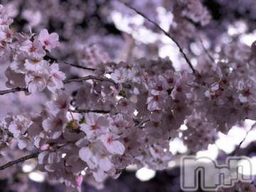 上越デリヘルHONEY(ハニー) りほ(♪♪)(29)の4月12日写メブログ「食欲の春」