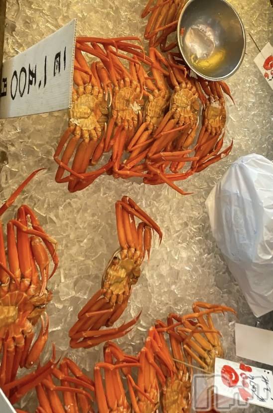 ʥå륺СʥåBar Peace(ʥåС ԡ) द66̥֥🦀