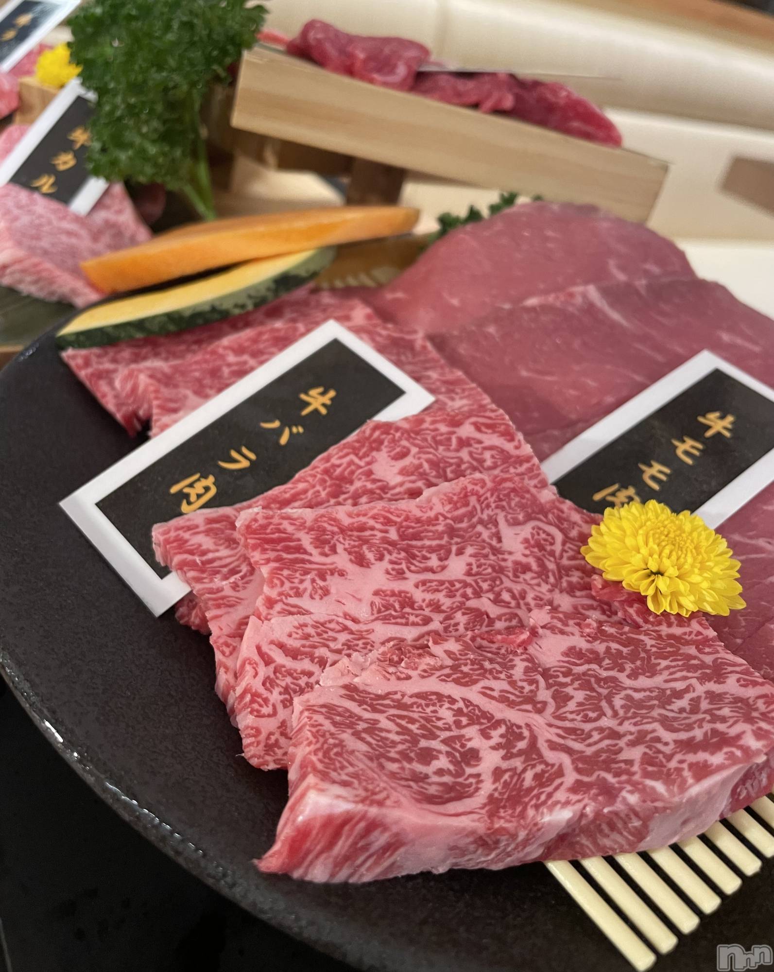 ʥå륺СʥåBar Peace(ʥåС ԡ) 2024ǯ517̥֥🥩‪