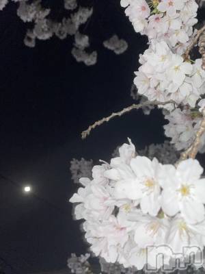 ʥå륺СʥåBar Peace(ʥåС ԡ) द417̥֥֤🌸