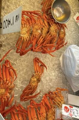 ʥå륺СʥåBar Peace(ʥåС ԡ) द66̥֥🦀