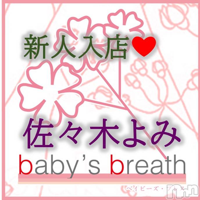 󥺥baby's breath(٥ӡ ֥쥹) ڤߡڿۤ͡312̥֥֤ꤤޤ