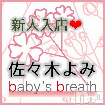 󥺥 baby's breath(٥ӡ ֥쥹) ڤߡڿۤ͡β(1)