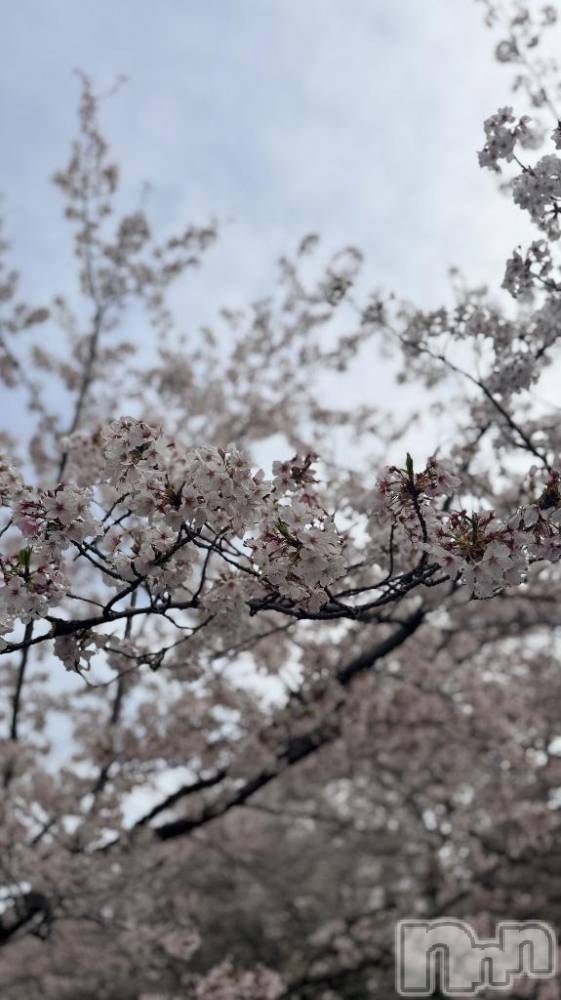 上越デリヘルHONEY(ハニー) もも(♪)(29)の4月10日写メブログ「お知らせ🍑」