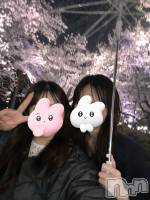 Ĺ襳ѥ˥󥯥ֻĹѥ˥󥯥 HAPPY(󥸥祦ʥѥ˥󥯥 ϥåԡ) ⤨(22)415̥֥֤Ϥ🌸