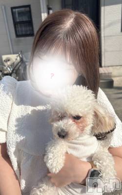 Ĺ襳ѥ˥󥯥ֻĹѥ˥󥯥 HAPPY(󥸥祦ʥѥ˥󥯥 ϥåԡ) ⤨(22)516ֲ̥֥椬ҡ