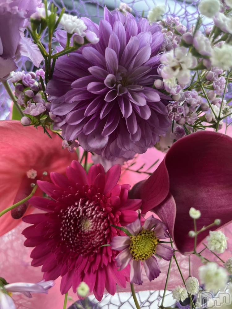 ľťʥå륺С饦㡹(饦󥸥) 1021̥֥💐🫶