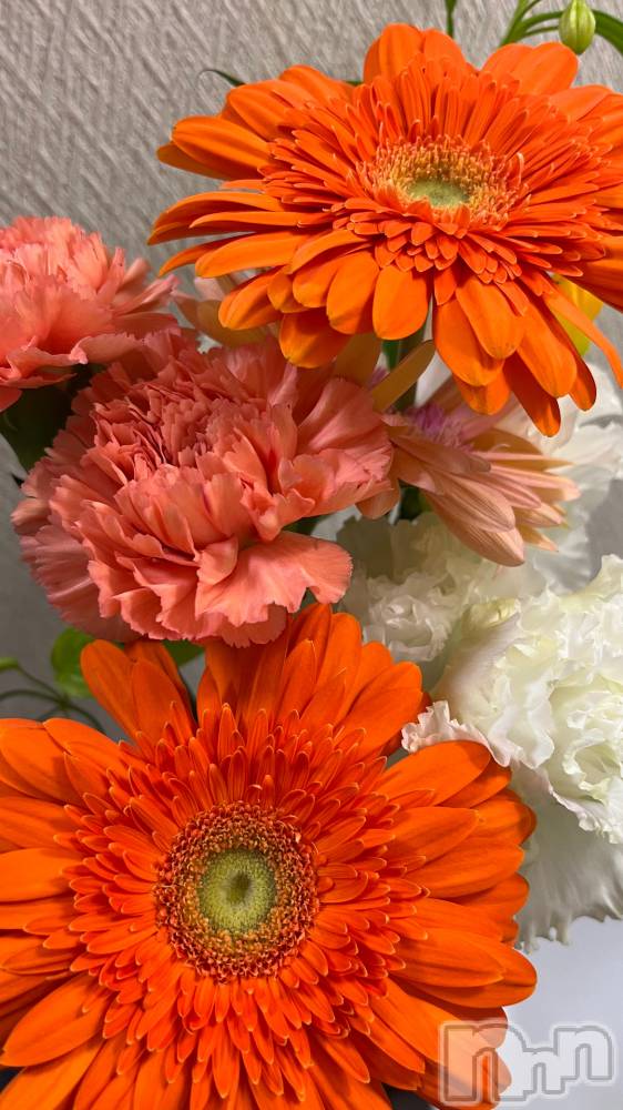 ľťʥå륺С饦㡹(饦󥸥) 119̥֥💐