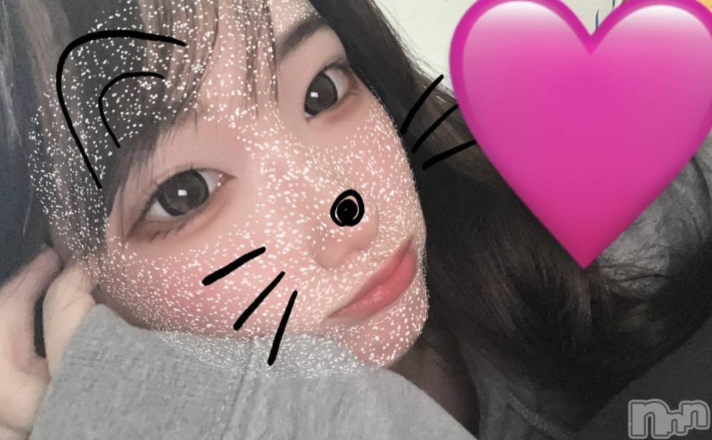 ľťʥå륺С饦㡹(饦󥸥) 529̥֥֤ޤ🫛