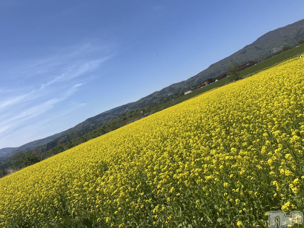 ľ���ť��ʥå��������륺�С��饦���㡹(�饦�󥸥������) ����4��27���̥�֥�����🌼💛🌼��