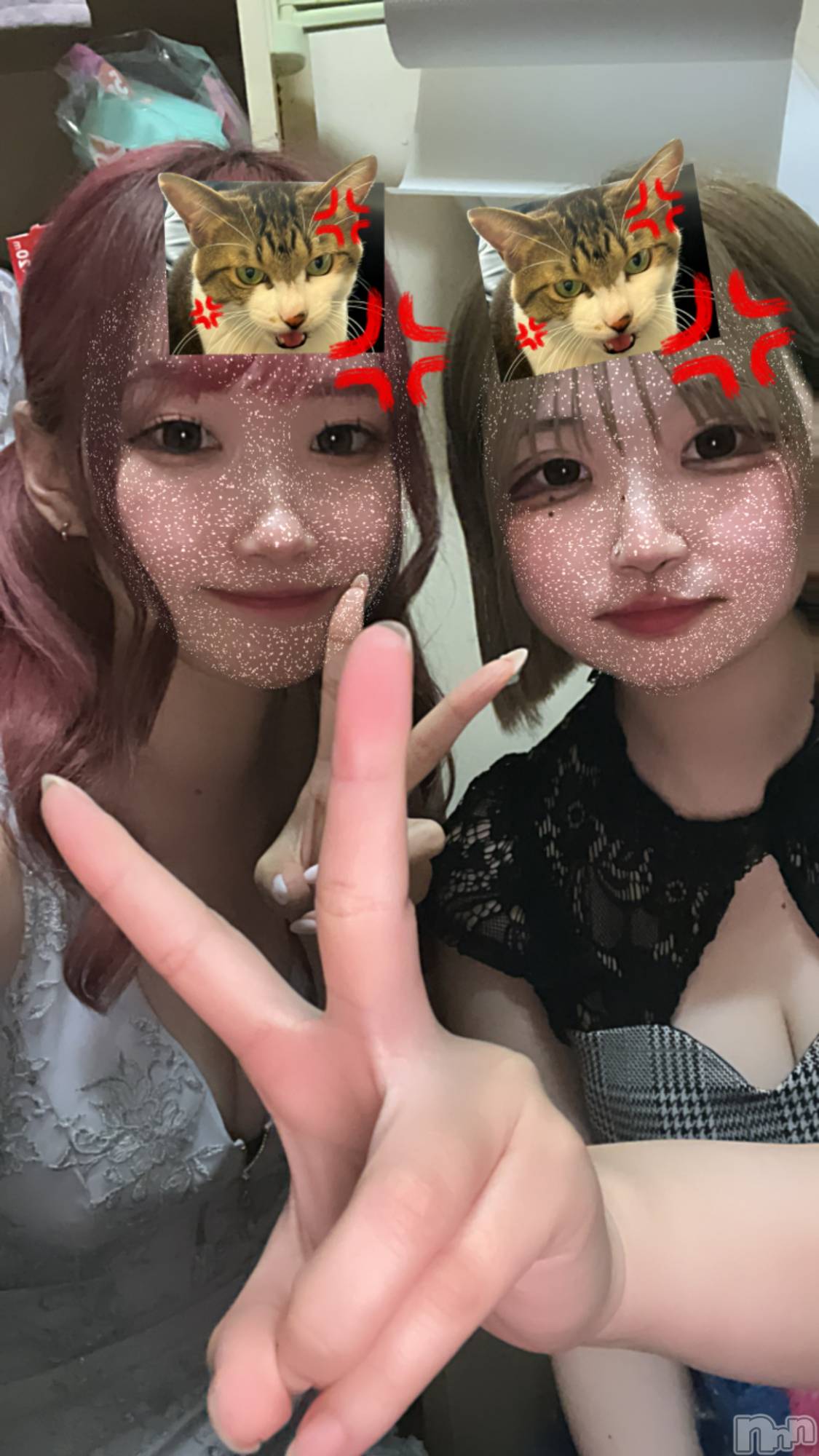 ľťʥå륺С饦㡹(饦󥸥) 2024ǯ727̥֥🍉
