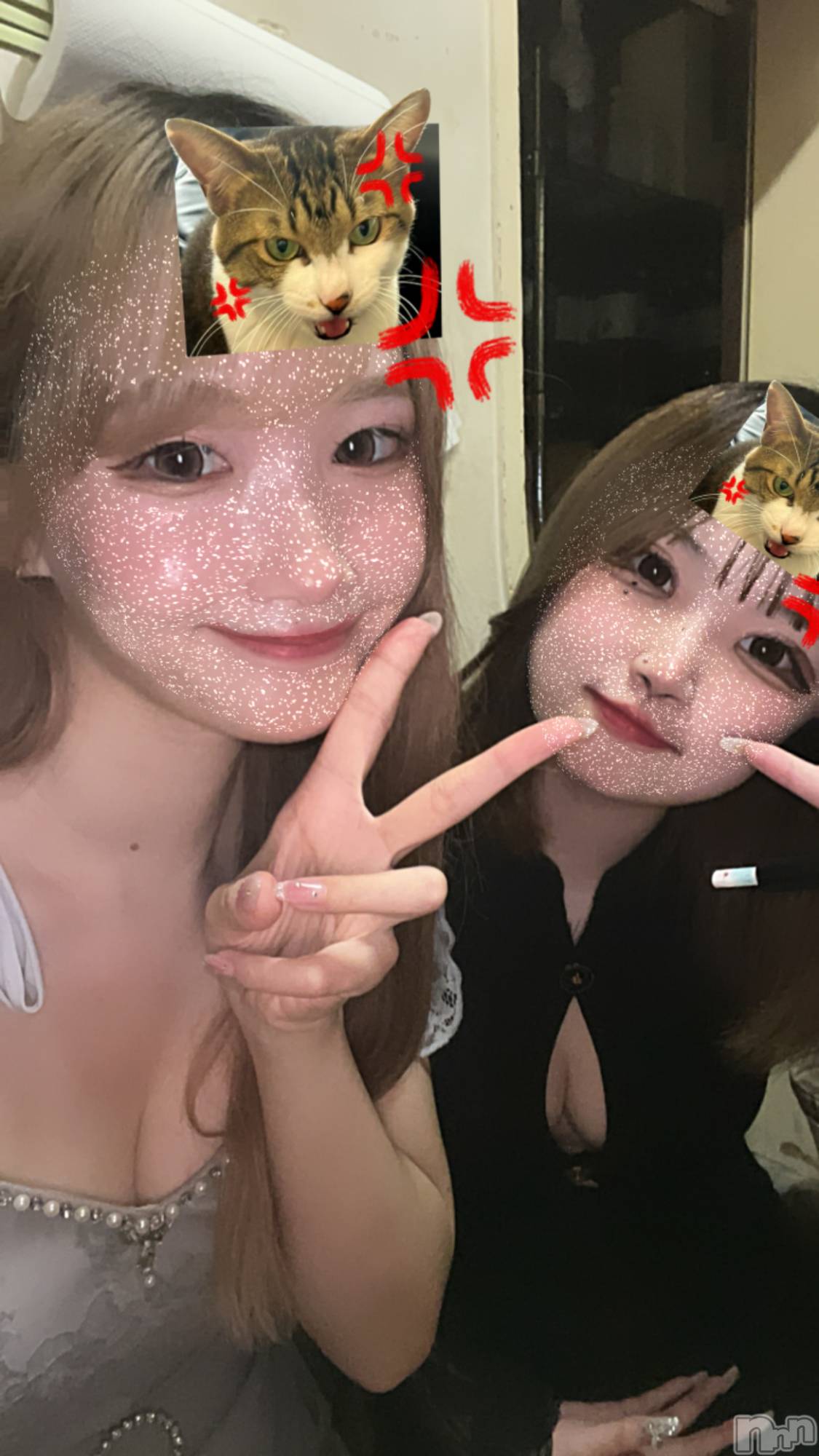 ľťʥå륺С饦㡹(饦󥸥) 2024ǯ99̥֥(ޢ)