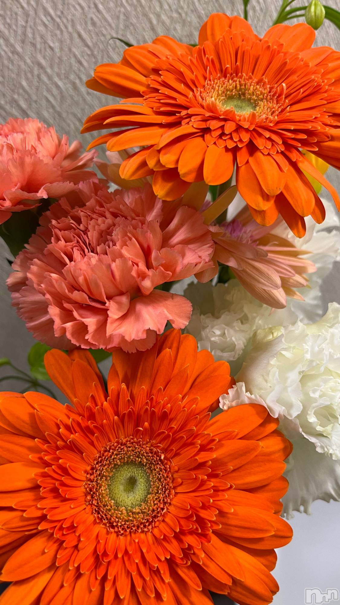 ľťʥå륺С饦㡹(饦󥸥) 2024ǯ119̥֥💐