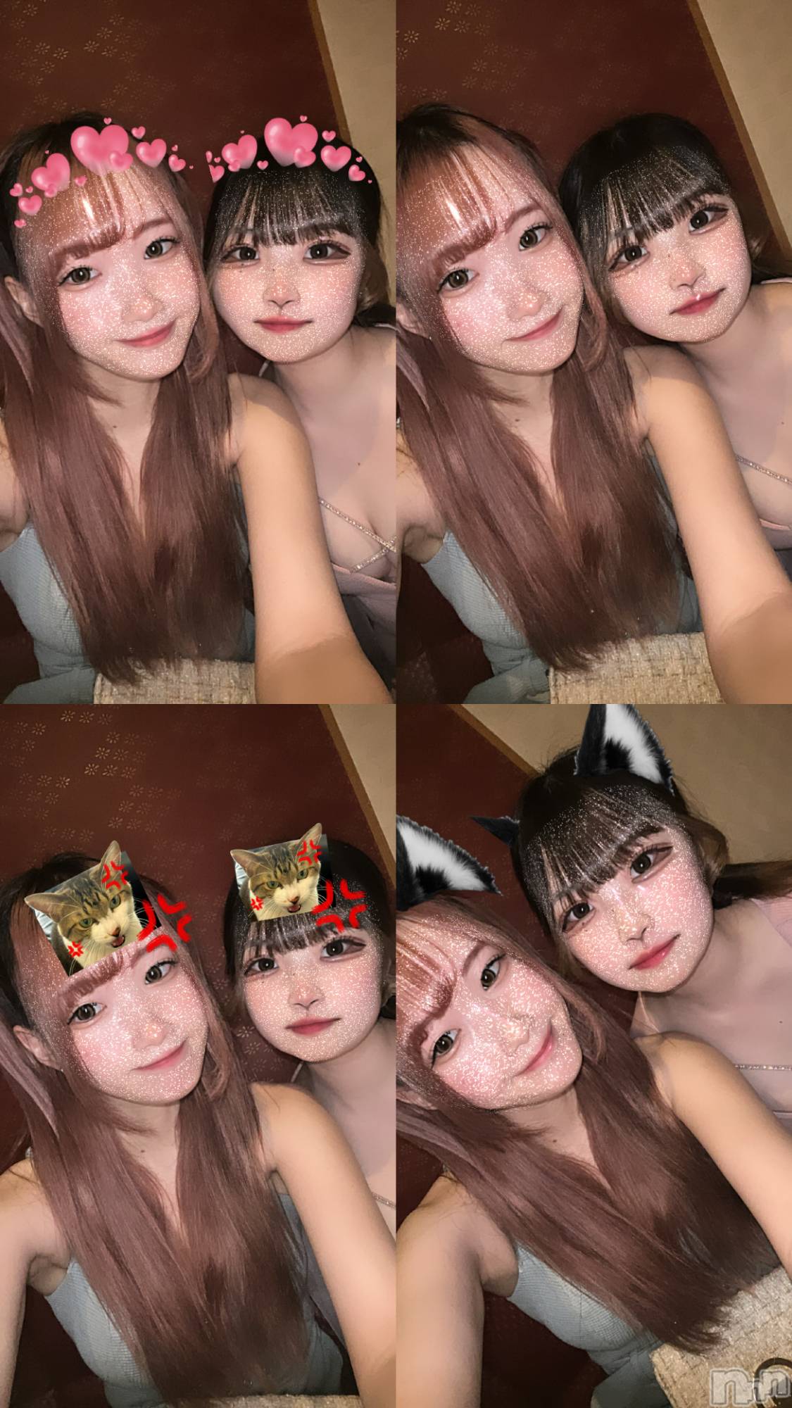 ľťʥå륺С饦㡹(饦󥸥) 2024ǯ124̥֥֤󡪡