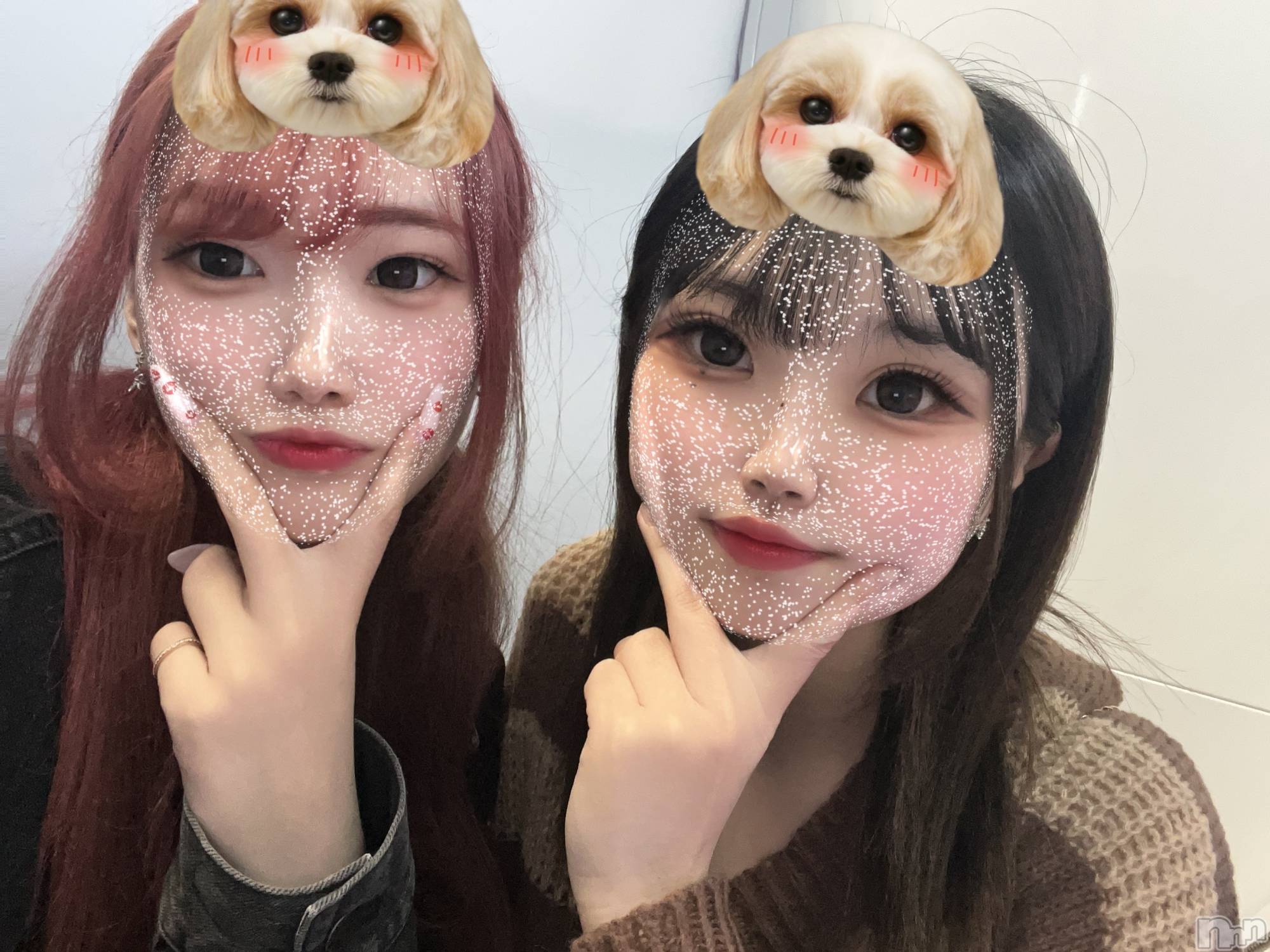 ľťʥå륺С饦㡹(饦󥸥) 2025ǯ313̥֥֤Τ餻Ǥ‎✧ ⋆🍰