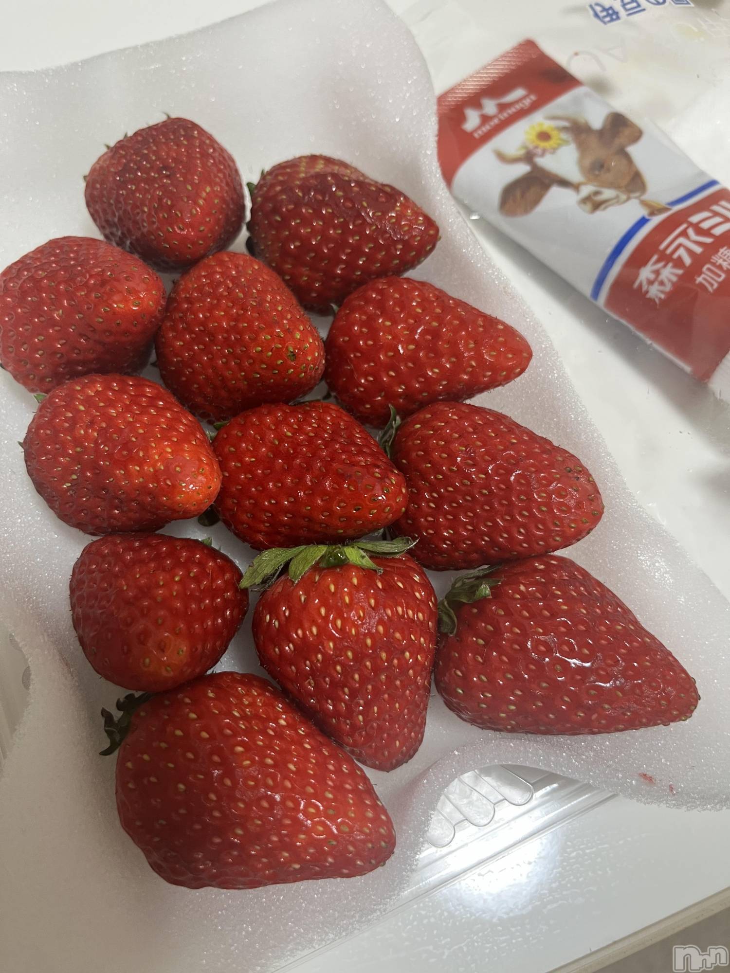 ľťʥå륺С饦㡹(饦󥸥) 2025ǯ512̥֥֤ꤤ🍓