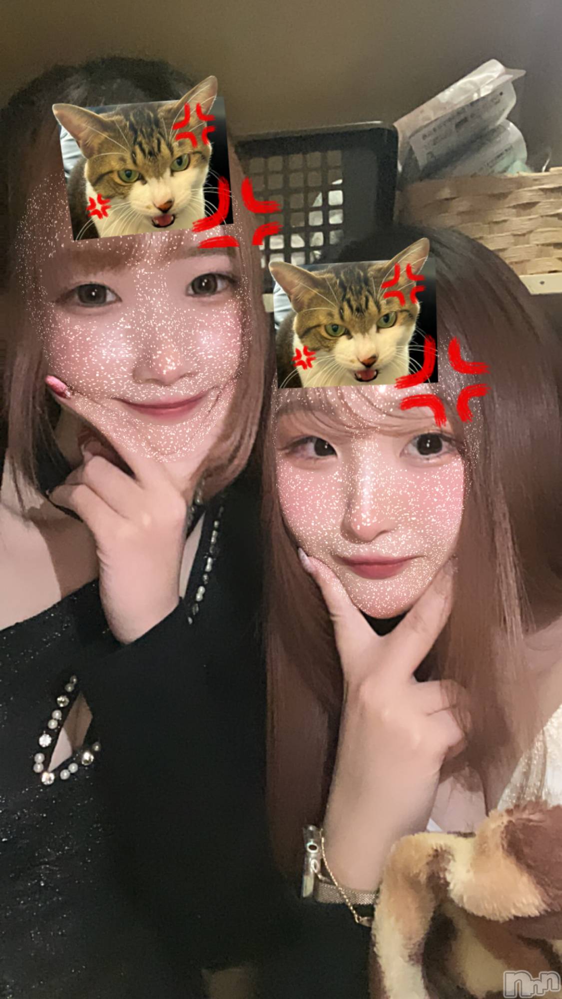 ľťʥå륺С饦㡹(饦󥸥) 2025ǯ75̥֥֤Τ餻💐💛🌼