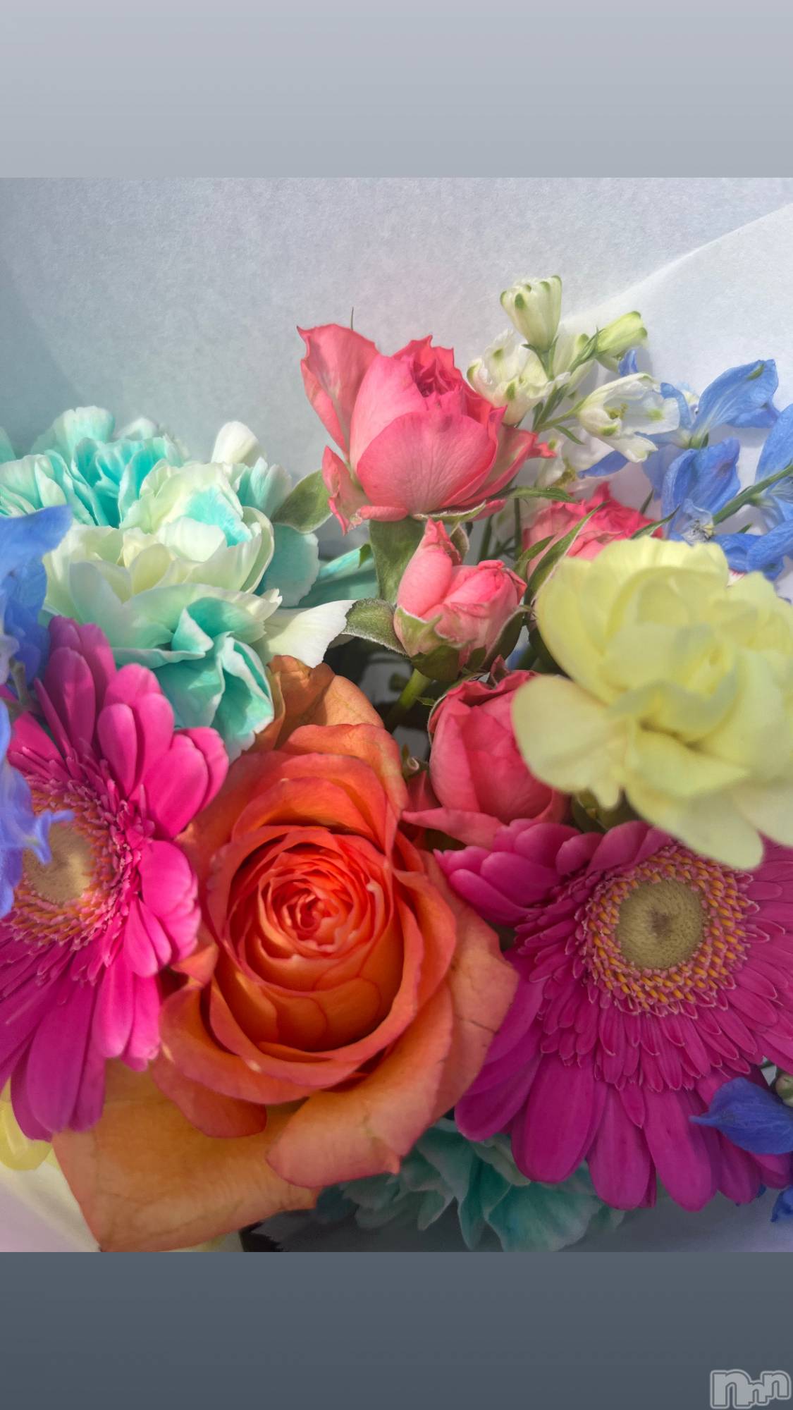 ľťʥå륺С饦㡹(饦󥸥) 2025ǯ109̥֥💐