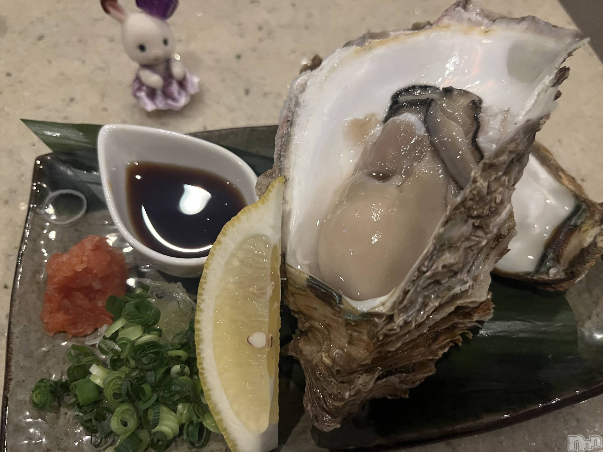 ľťʥå륺С饦㡹(饦󥸥) 2025ǯ1111̥֥🦪⭐️