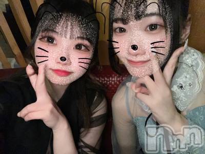 ľťʥå륺С饦㡹(饦󥸥) 44̥֥֤襤