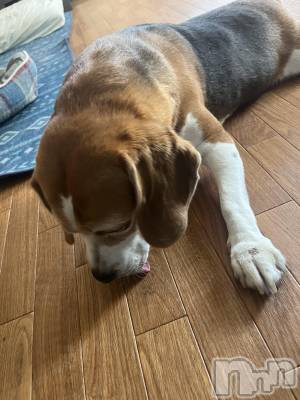 ľťʥå륺С饦㡹(饦󥸥) 923̥֥֤ä̡