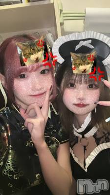 ľťʥå륺С饦㡹(饦󥸥) 1031̥֥ϡ