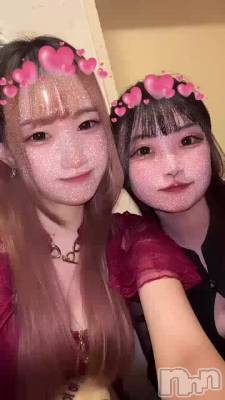 🐱🐱🐱🐱