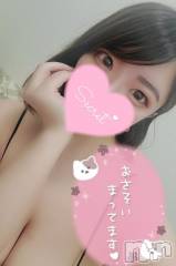 新潟デリヘル奥様特急 新潟店(オクサマトッキュウニイガタテン) みなせ(29)の8月24日写メブログ「残り7日間！」