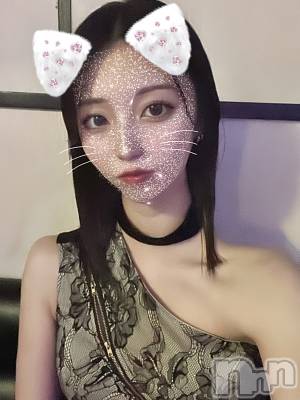 ʥå륺СLE SOLEIL( 쥤) (23)712ֵ̥֥פ֤💗