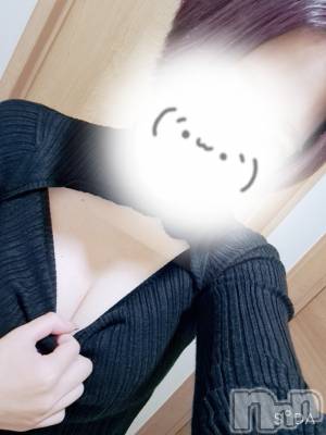 ȯѥ˥󥯥ֿ㥳ѥ˥ -϶15ǯοȼ-(˥ѥ˥󥹥) ߤ(28)322̥֥🥲🥲