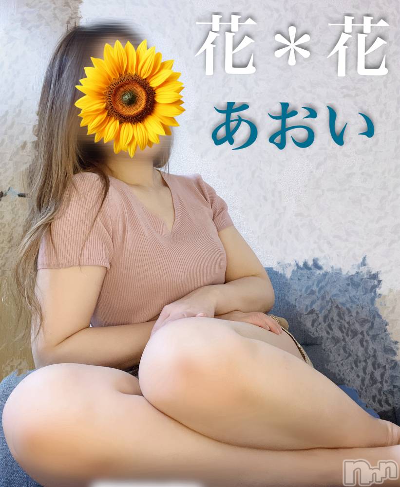 㡦ȯĥꥢ󥺥Ʋ֡(ϥʥϥ) 417ֳ̥֥🩷🉐🉐