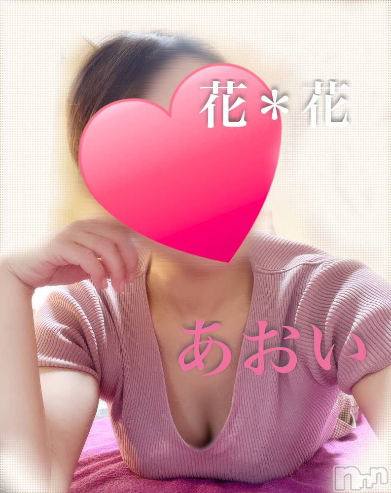 㡦ȯĥꥢ󥺥Ʋ֡(ϥʥϥ) 511ֻ̥֥Ϥޤä❣️💕