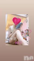 新潟メンズエステ花＊花(ハナハナ) あおい(37)の4月1日動画「お得な時間です🤗🉐」