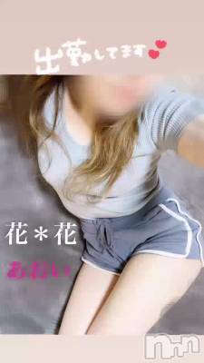 Ƥ롩🩷