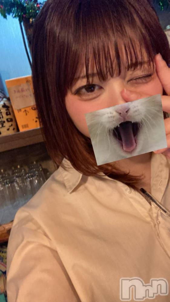 ʥå륺СաɥСӥ٥˥塼 Nachi52̥֥֤
