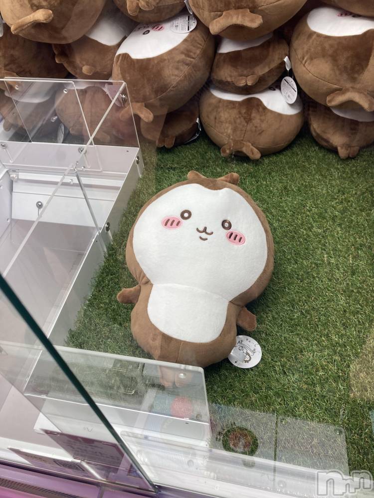 ʥå륺СաɥСӥ٥˥塼 Nachi625̥֥֤֤Ȥष