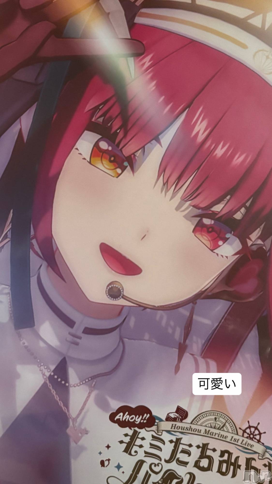 ����������ʥå��������륺�С������륺�С� �ӥ���٥˥塼(�����륺�С��ӥ���٥˥塼) ��2025ǯ12��15���̥�֥����ְ����ν���