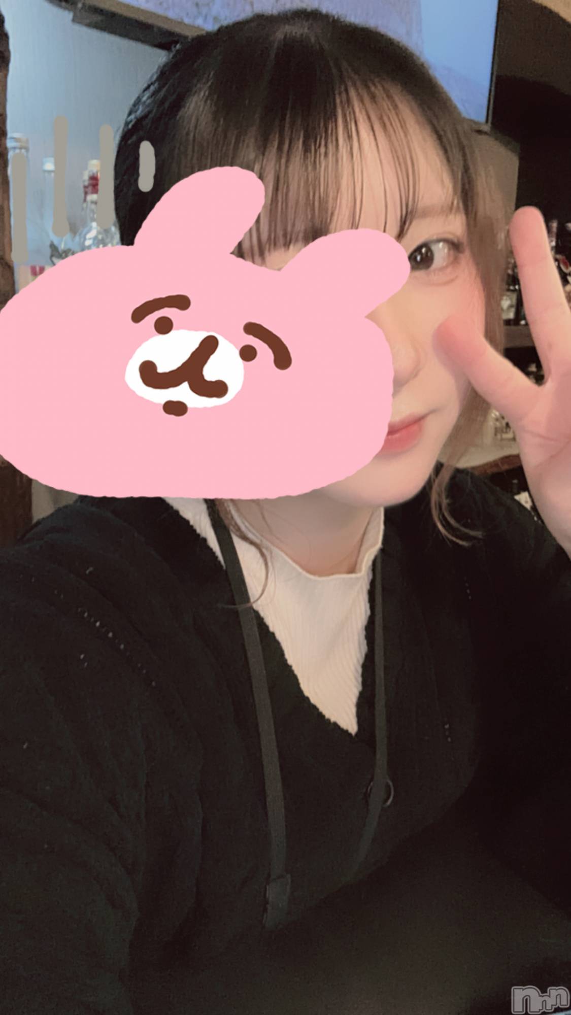 ����������ʥå��������륺�С������륺�С� �ӥ���٥˥塼(�����륺�С��ӥ���٥˥塼) ��2026ǯ1��5���̥�֥����֥ӥ���Ǥ����