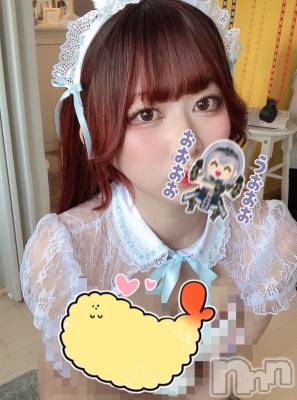 ʥå륺СաɥСӥ٥˥塼 Nachi329̥֥֥ץ󤸤㤤