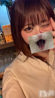 ʥå륺СաɥСӥ٥˥塼 Nachi52̥֥֤