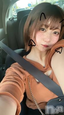 ʥå륺СաɥСӥ٥˥塼 Nachi810̥֥֤⡪